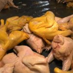 Pintaban Pollos Con Decolarante Amarillo Para Disimular Su Mal Estado