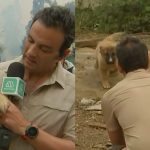 Gonzalo Ramírez Sacó Aplausos Tras Rescatar A Un Perrito De Los Incendios Forestales De Tomé