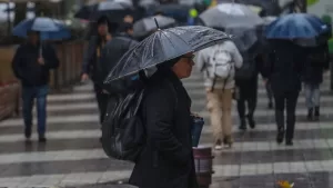 Lluvia En Santiago (5)