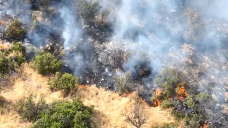 Incendio San Carlos De Apoquindo (1)