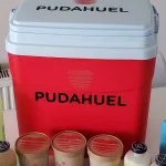 Cooler Radio Pudahuel