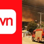 Tvn Francisco Vidal