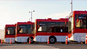 Buses RED