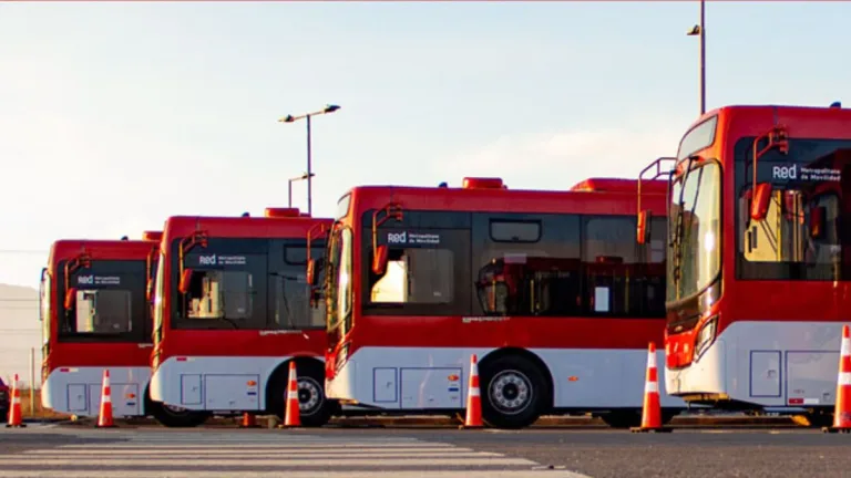 Buses RED