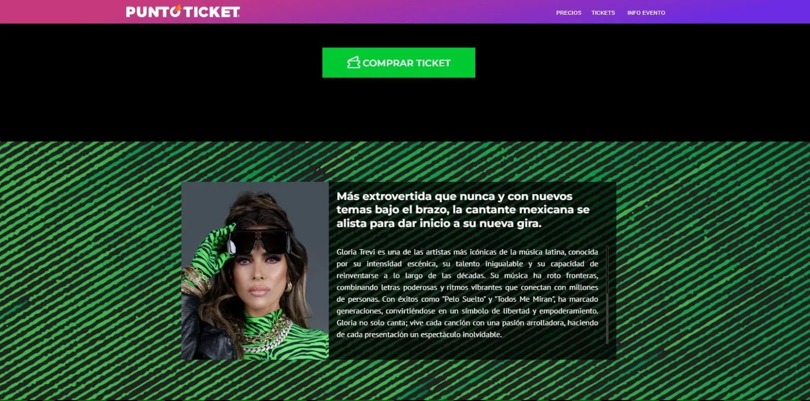 Entradas Por Puntoticket